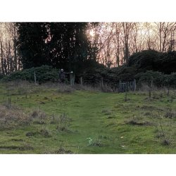 Hvid dirigerings plade til hundetrning